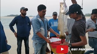 ಮೀನುಗಾರಿಕೆ |ಮಂಗಳೂರು |ಹಳೆಯಂಗಡಿ ಸಸಿಹಿತ್ಲು ದೈತ್ಯಾಕಾರದ ಮೀನನ್ನು ಹಿಡಿಯುತ್ತಿದ್ದಾರೆ ಮುದವ್🎣