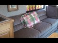 for sale 1969 gillig bus conversion 35 diesel rv motorhome