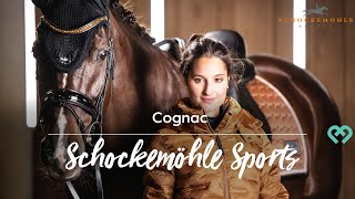 kavalio.de | SCHOCKEMÖHLE SPORTS HW22 | Cognac