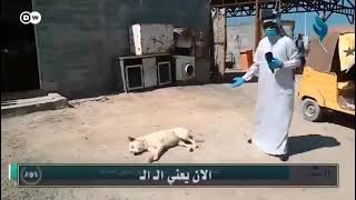 العزيز يعني تفضل تفضل استاذ علاء وياي انته