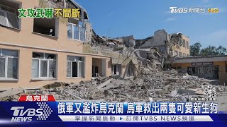 「血腥恐嚇包裹」再現! 烏駐外大使館再提高戒備｜TVBS新聞@TVBSNEWS01