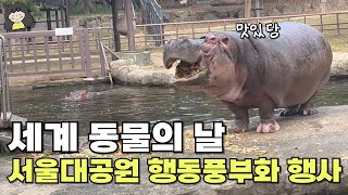 세계 동물의 날 서울대공원 행동풍부화 행사 하마 미어캣 기린 구경하기