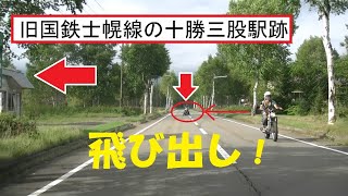 旧国鉄士幌線の十勝三股駅跡付近でライダーが道路に飛び出してくる国道273号線の走行映像