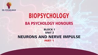 BPCC-102 Biopsychology | UNIT - 2 Neurons and Nerve Impulse | Part-1| IGNOU MALAYALAM