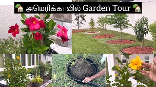 அமெரிக்காவில் Garden Tour in Tamil |USA Garden tour | Garden Fertilizer| USA Tamil vlog | wow varuni