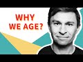 David Sinclair on Why We Age and Why We Don't Have to | Information Theory of Aging