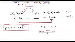 Química: Ácidos y Bases, pH