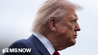 'No authority here': Democracy Fwd CEO on new lawsuit targeting Trump's $1.8B 'slush fund'
