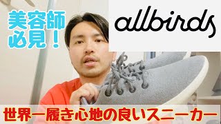 【美容師必見！】世界一履き心地の良いスニーカー『all birds』は立ち仕事の人にオススメ！