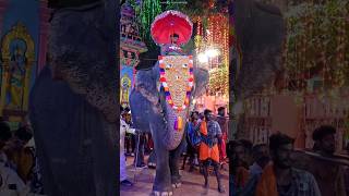 Koottalumoodu Bhadreswari Amman temple festival 2024 #koottalumoodu #koottalumoodutemple