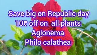 10₹ off on all plants #online plant sale#youtube video #must watch