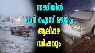 ആലിപ്പഴ വീഴച്ചയിൽ സൗദിയിലെ  അൽ ഖാസിം | Oneindia Malayalam