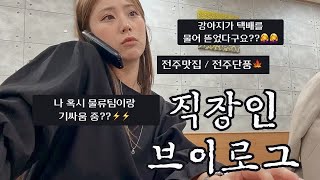 VLOGㅣ직장인브이로그ㅣ쇼핑몰CSㅣ사무직ㅣ키보드ASMRㅣ물류팀과기싸움?ㅣ강아지 택배를 물어 뜯었다구요?🐕ㅣ전주브런치맛집ㅣ전주휘낭시애맛집ㅣ전주단풍ㅣ30대직장인ㅣ데일리룩ㅣ가을출근룩ㅣ