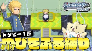 ダイヤモンドをトゲピー１匹のゆびをふるだけでクリアする旅#１7【ゆっくり実況】【ポケモンDPPt】