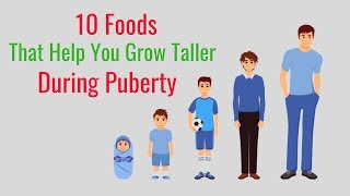 10 Foods That Help You Grow Taller During Puberty