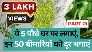 Plants Medicine: ये 5 पौधे घर पर लगाएं, इन 50 बीमारियों को दूर भगाएं 🌱🌿 Part 01