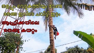 ആഫ്രിക്കയിലെ തെങ്ങുകയറ്റം | ചവിട്ടി ഇട്ട നാളികേരം| ഒരു തലതിരിഞ്ഞ കാഴ്ച | #african #coconut #gambia