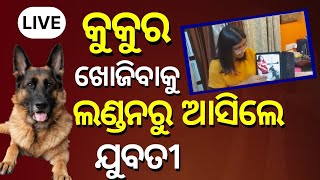 LIVE: August Goes Missing! ହଜିଲା କୁକୁରକୁ ଖୋଜିବା ପାଇଁ ଲଣ୍ଡନ୍‌ରୁ ବିମାନରେ ମିରଟ ଆସିଲେ ଯୁବତୀ I Odia News