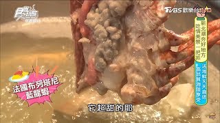 【新北】活海鮮天天直送「旬辣本舖 」激推高品質海陸享受！食尚玩家