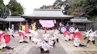 [4K] 佛教大学よさこいサークル紫踊屋　龍馬よさこい 2023 日曜日 龍馬演舞場（京都霊山護国神社）