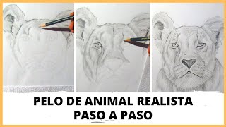 😱COMO DIBUJAR PELO DE ANIMAL A LÁPIZ FÁCIL👉Como DIBUJAR una LEONA FÁCIL Y REALISTA|Takuma DrawTattoo