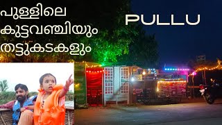 218 : പുള്ളിലെ വഞ്ചിക്കാരൻ || pullu kuttavanchi and thattukada food