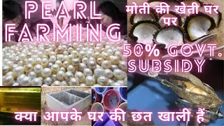 मोती की खेती, Pearl farming at home with 50% Govt. subsidy, #pearlfarming #liveblossom.