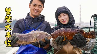 Catch 2 extremely valuable grouper in a row, 2 fish can be sold for two to three thousand yuan!