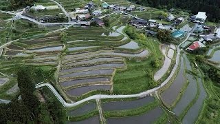 【ドローン空撮】日本の棚田百選　『畑の棚田』　滋賀県・高島市 Bird View JAPAN