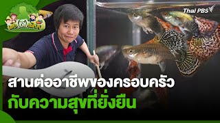 สานต่ออาชีพของครอบครัว กับความสุขที่ยั่งยืน | พอดีพอเพียง | วันใหม่วาไรตี้