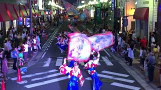 笑舞翔華2019紀州よさこい　おどるんや（ぶらくり会場）