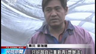 20140321 公視晚間新聞 陸傾銷日本 南庄一葉蘭等無訂單