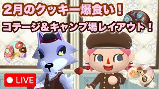 【ポケ森コンプリート】2月クッキー食べてレイアウト！なポケ森ライブ配信✨【新人Vtuber】#ポケ森