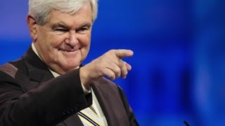 Who Is Newt Gingrich