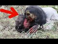 REAL WITCH Caught on CAMERA While EATING People | SHOCKING VIDEO - REAL TERROR