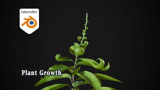 [Tut] Plant Growth with Leaves Unrolling C - Blender Geometry Nodes 5.0+