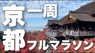 高1が挑戦‼️初めてのフルマラソンで目指せサブ4！走って京都一周したら最高すぎた…