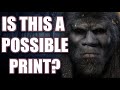 BIGFOOT PRINT? | CREEPY FOREST | 401 FILES