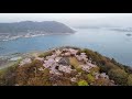 筆影山・竜王山の満開の桜と、筆影山の夜桜ライトアップ