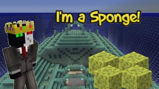 Ranboo Becomes a Sponge on the Dream SMP (5-20-2021)