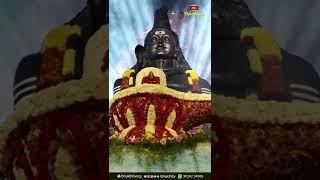 తాండవం ఆడే పరమేశ్వరుని విశ్వరూపం #lordshiva #kotideepotsavam #Goddecorations #shorts