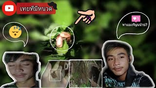 #Vlog.8 [🦗เทยที_ออกหา'เเมงจินูน'🦗]หาเเมลงในขี้ควาย🐃