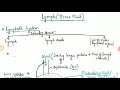 lymph circulatory system part 6 biology tips u0026tricks neet aiims neet guide ncert