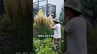 小木屋前种棵草，好看的很～ #花园生活 #爱生活爱养花 #塔莎的花园