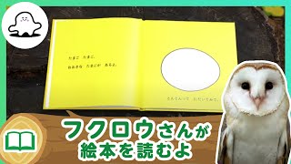 絵本読み聞かせ│フクロウ絵本 2│赤ちゃんが泣き止む・喜ぶ！シナぷしゅ公式│東大赤ちゃんラボ監修！知育動画