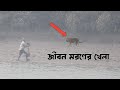 Sundarban Tiger Atack-sundarban fishing video/sundarban fishing bangla-Sundarban অভিযান