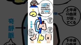 奇静脈#理学療法士国家試験#作業療法士国家試験