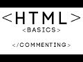 HTML Basics Tutorial 28 - Commenting