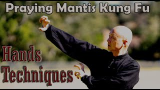 Kung Fu training at home 2020 for beginners: Shaolin Praying Mantis Kung Fu – Hands techniques
