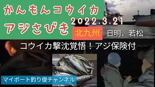 【vol.31】北九州関門海峡湾内コウイカアジサビキリレー釣り2022.3.21